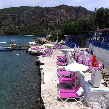 Delos 住宿加早餐酒店 *