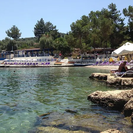 住宿加早餐酒店 Delos