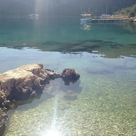 住宿加早餐酒店 Delos 卡斯