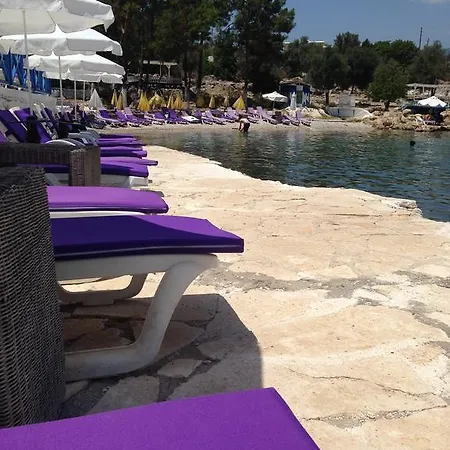 住宿加早餐酒店 Delos *