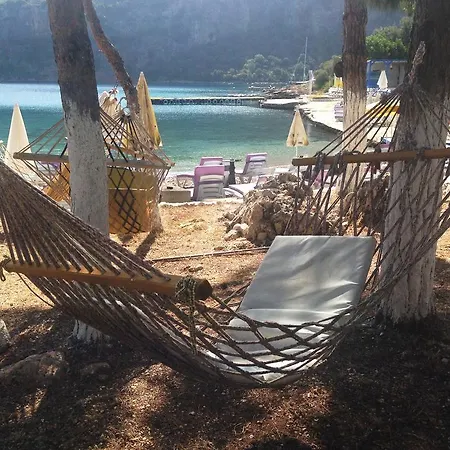 住宿加早餐酒店 Delos