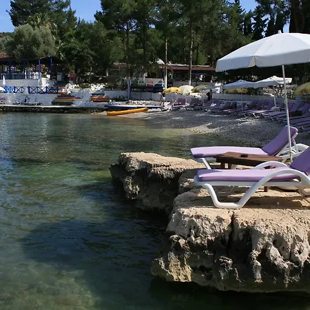 住宿加早餐酒店 Delos *