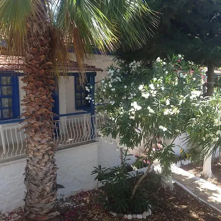 Delos קס