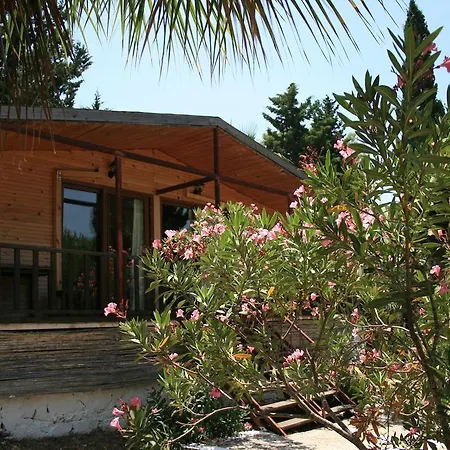 לינה וארוחת בוקר Delos קס