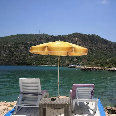 Delos קס