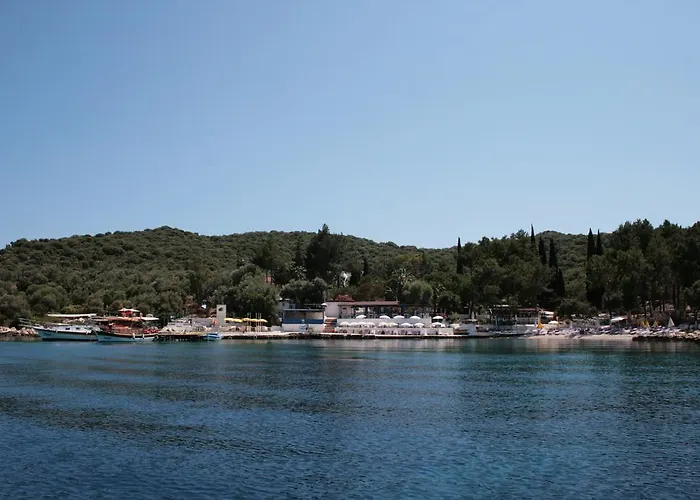 Bed & Breakfast Delos *