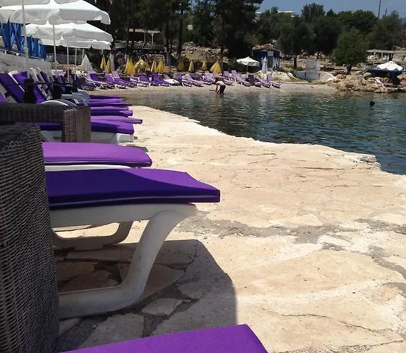 Bed & Breakfast Delos *