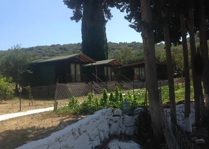 Bed & Breakfast Delos *