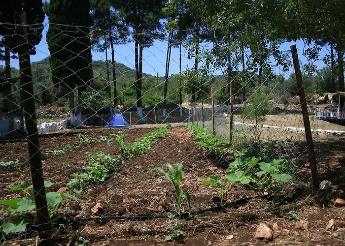 Bed & Breakfast Delos Kaş