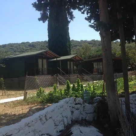 Bed & Breakfast Delos *