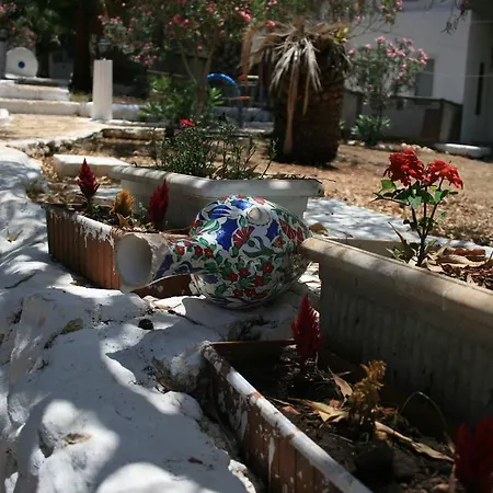 Bed & Breakfast Delos *